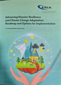 Advancing disaster resilience and climate change adaption : roadmap and options for implementation