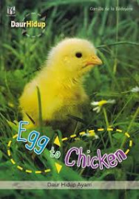 Daur Hidup Ayam = Egg to Chicken