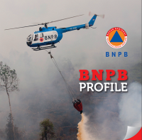 BNPB Profile