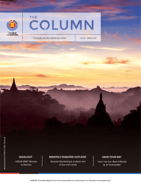 The Column: The AHA Centre News Bulletin Vol. 36
